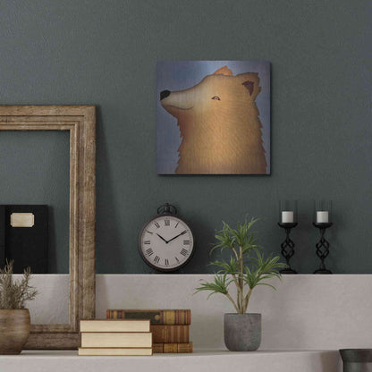 Luxe Metal Art 'Brown Bear Wow' by Ryan Fowler, Metal Wall Art,12x12