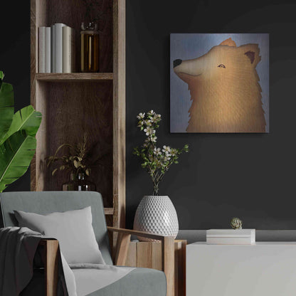 Luxe Metal Art 'Brown Bear Wow' by Ryan Fowler, Metal Wall Art,24x24