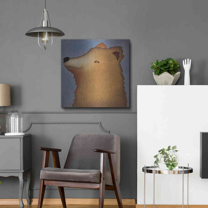 Luxe Metal Art 'Brown Bear Wow' by Ryan Fowler, Metal Wall Art,24x24