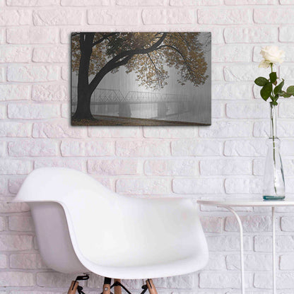 Luxe Metal Art 'Foggy Riverview' by Lori Deiter, Metal Wall Art,24x16