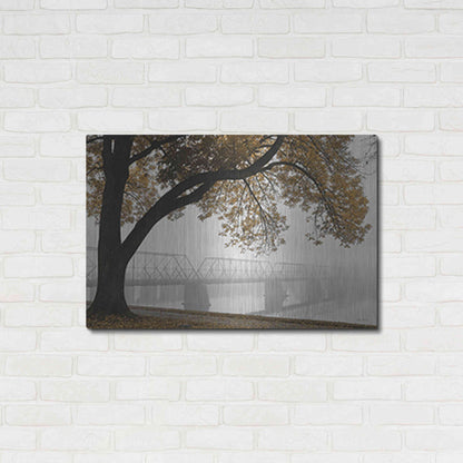 Luxe Metal Art 'Foggy Riverview' by Lori Deiter, Metal Wall Art,36x24