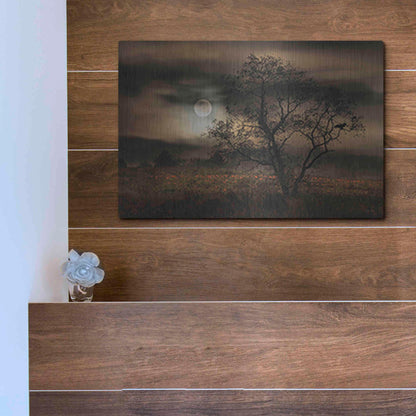 Luxe Metal Art 'When Pumpkins Glow by Moonlight' by Lori Deiter, Metal Wall Art,16x12