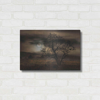 Luxe Metal Art 'When Pumpkins Glow by Moonlight' by Lori Deiter, Metal Wall Art,24x16