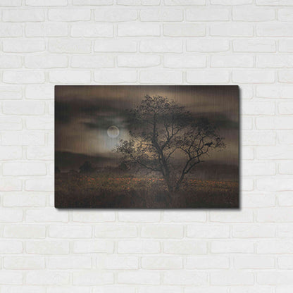 Luxe Metal Art 'When Pumpkins Glow by Moonlight' by Lori Deiter, Metal Wall Art,36x24