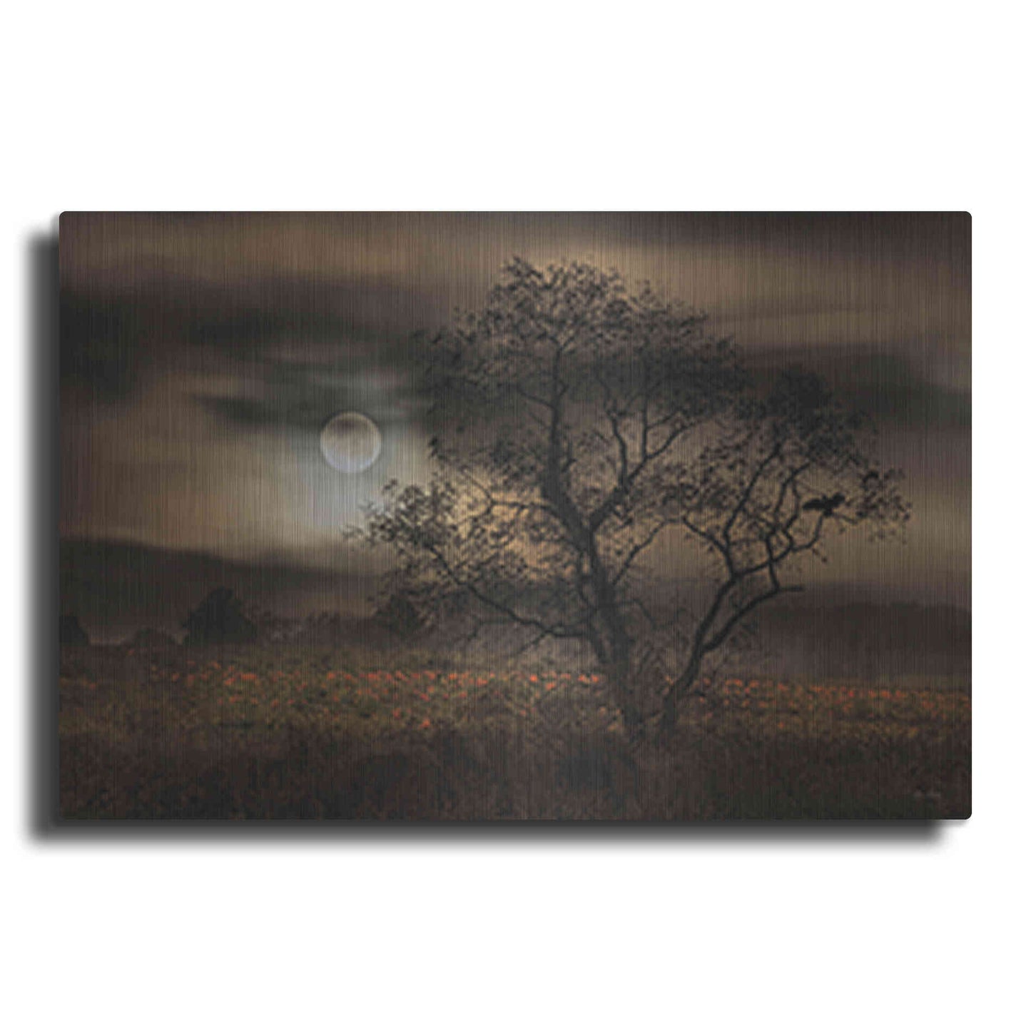 Luxe Metal Art 'When Pumpkins Glow by Moonlight' by Lori Deiter, Metal Wall Art