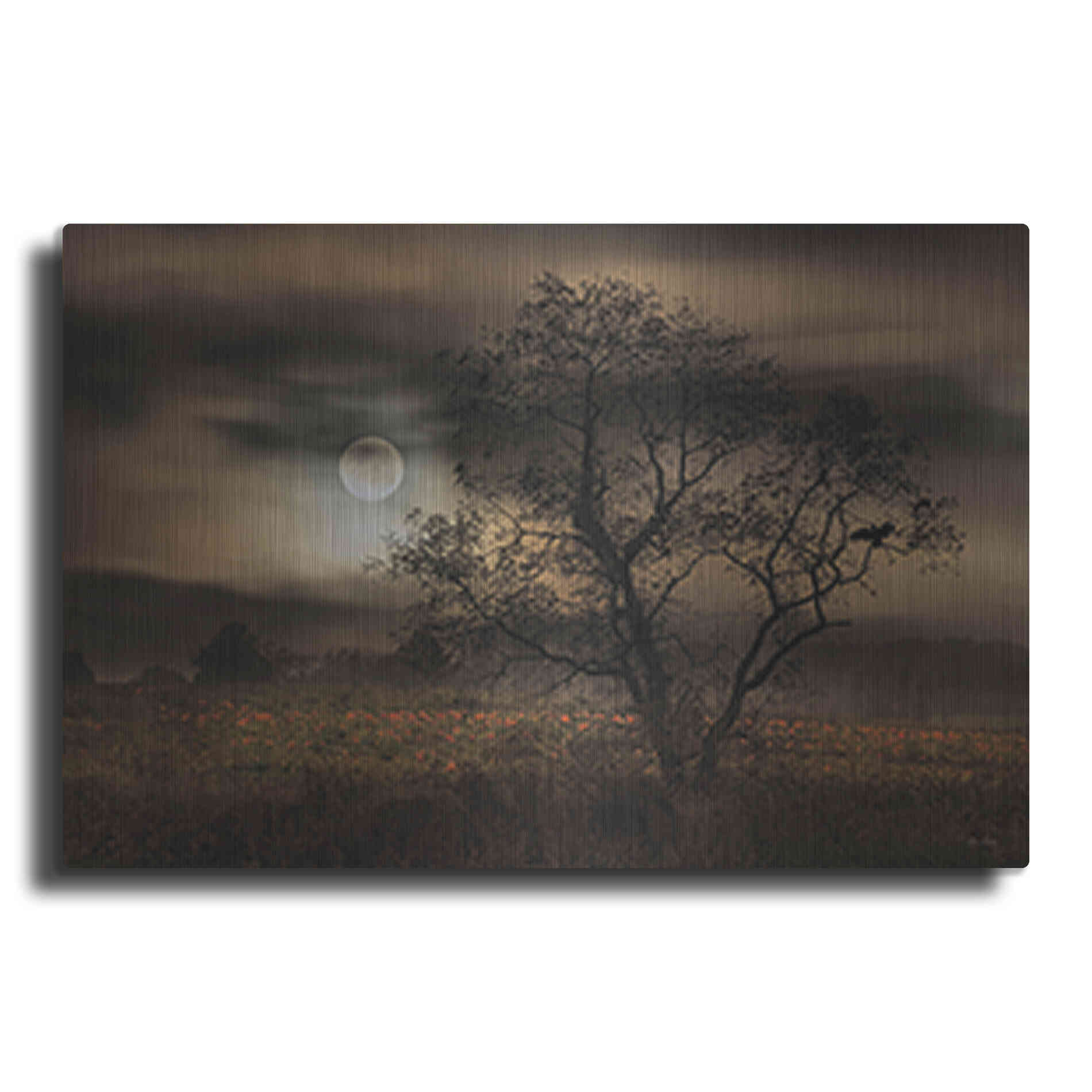 Luxe Metal Art 'When Pumpkins Glow by Moonlight' by Lori Deiter, Metal Wall Art