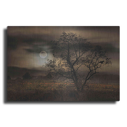 Luxe Metal Art 'When Pumpkins Glow by Moonlight' by Lori Deiter, Metal Wall Art