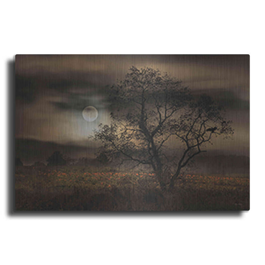 Luxe Metal Art 'When Pumpkins Glow by Moonlight' by Lori Deiter, Metal Wall Art