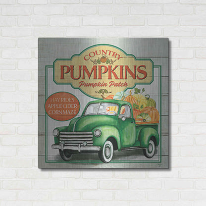 Luxe Metal Art 'Pumpkin Patch' by Mollie B., Metal Wall Art,36x36