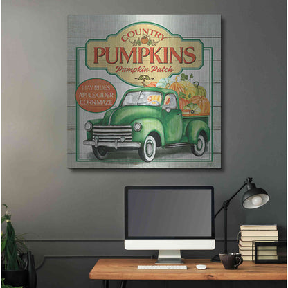 Luxe Metal Art 'Pumpkin Patch' by Mollie B., Metal Wall Art,36x36