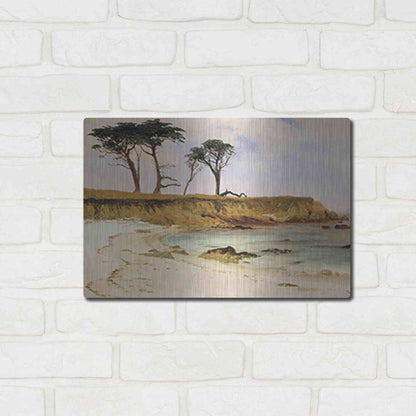 Luxe Metal Art 'Along the Coast' by Stellar Design Studio, Metal Wall Art,16x12