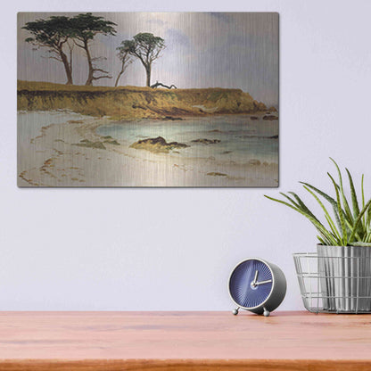 Luxe Metal Art 'Along the Coast' by Stellar Design Studio, Metal Wall Art,16x12