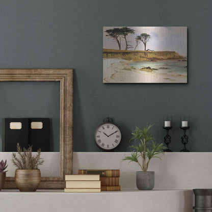 Luxe Metal Art 'Along the Coast' by Stellar Design Studio, Metal Wall Art,16x12