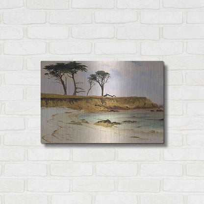 Luxe Metal Art 'Along the Coast' by Stellar Design Studio, Metal Wall Art,24x16