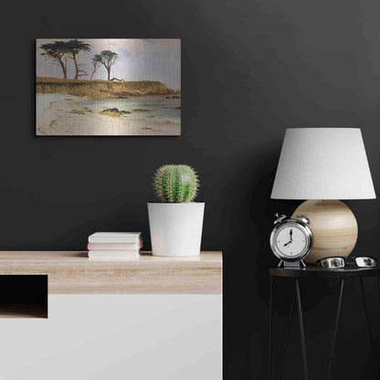 Luxe Metal Art 'Along the Coast' by Stellar Design Studio, Metal Wall Art,24x16
