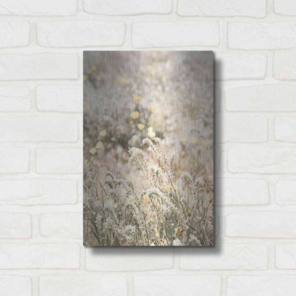 Luxe Metal Art 'Sweet Vintage Field' by Yass Naffas Designs, Metal Wall Art,12x16