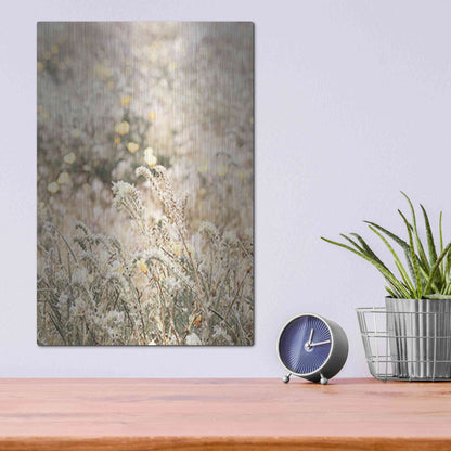 Luxe Metal Art 'Sweet Vintage Field' by Yass Naffas Designs, Metal Wall Art,12x16