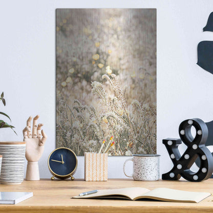 Luxe Metal Art 'Sweet Vintage Field' by Yass Naffas Designs, Metal Wall Art,12x16