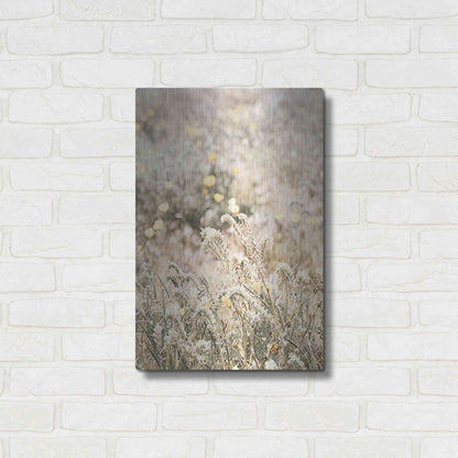 Luxe Metal Art 'Sweet Vintage Field' by Yass Naffas Designs, Metal Wall Art,16x24