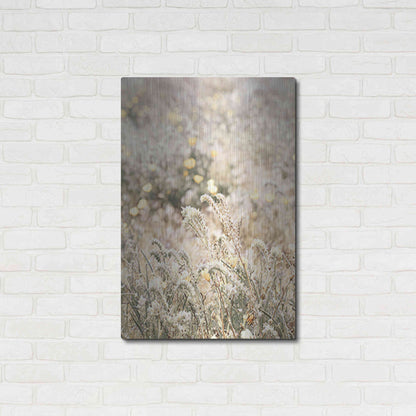 Luxe Metal Art 'Sweet Vintage Field' by Yass Naffas Designs, Metal Wall Art,24x36