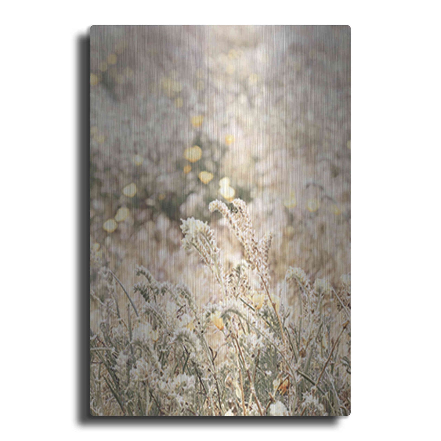 Luxe Metal Art 'Sweet Vintage Field' by Yass Naffas Designs, Metal Wall Art