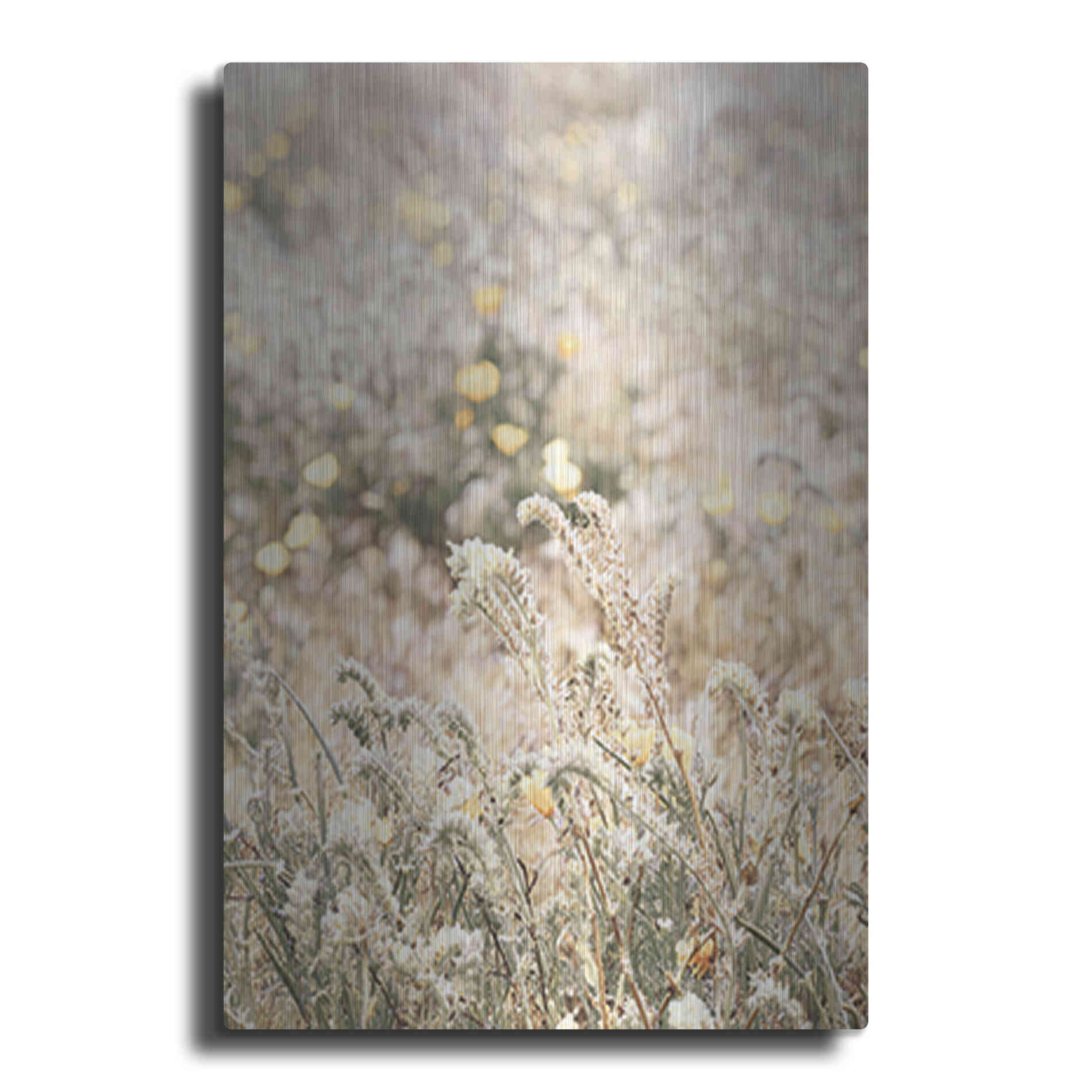 Luxe Metal Art 'Sweet Vintage Field' by Yass Naffas Designs, Metal Wall Art