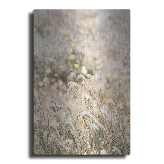 Luxe Metal Art 'Sweet Vintage Field' by Yass Naffas Designs, Metal Wall Art