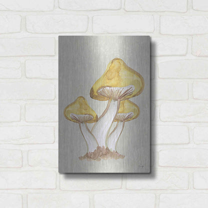 Luxe Metal Art 'Calming Mushrooms' by Yass Naffas Designs, Metal Wall Art,12x16