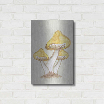 Luxe Metal Art 'Calming Mushrooms' by Yass Naffas Designs, Metal Wall Art,16x24