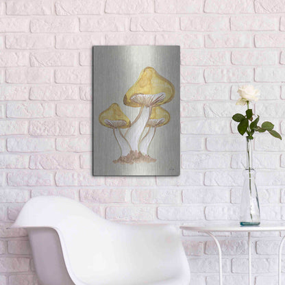 Luxe Metal Art 'Calming Mushrooms' by Yass Naffas Designs, Metal Wall Art,16x24
