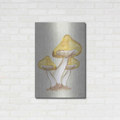 Luxe Metal Art 'Calming Mushrooms' by Yass Naffas Designs, Metal Wall Art,24x36