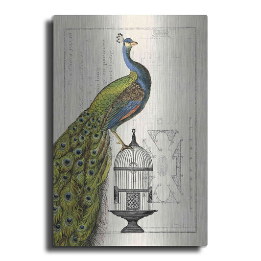 Luxe Metal Art 'Peacock Birdcage I' by Sue Schlabach, Metal Wall Art