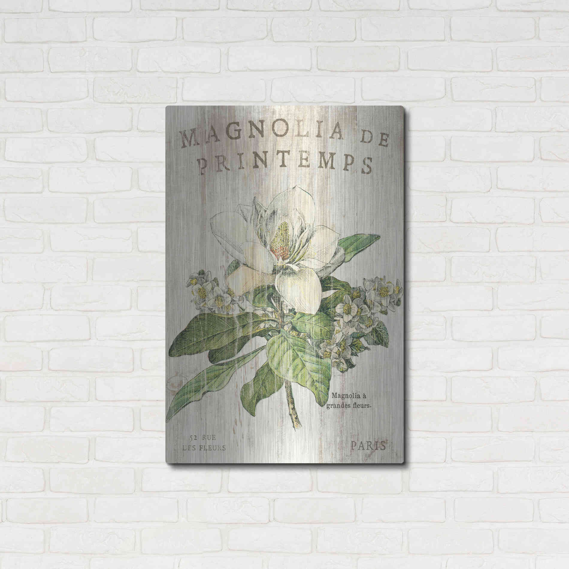 Luxe Metal Art 'Magnolia de Printemps' by Sue Schlabach, Metal Wall Art,24x36