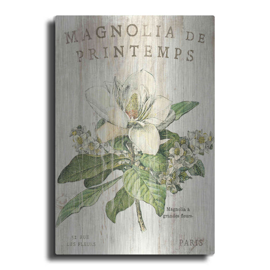 Luxe Metal Art 'Magnolia de Printemps' by Sue Schlabach, Metal Wall Art