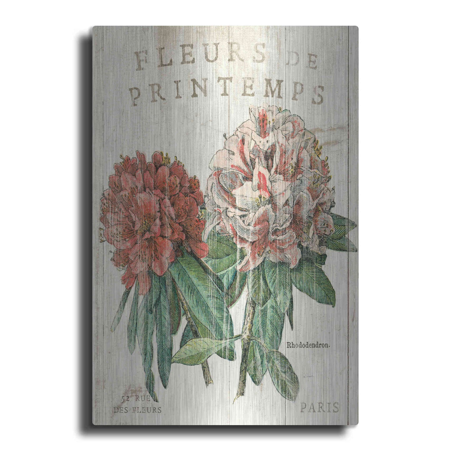 Luxe Metal Art 'Fleur de Printemps' by Sue Schlabach, Metal Wall Art