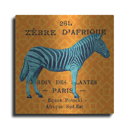 Luxe Metal Art 'Bright Safari Zebra' by Sue Schlabach, Metal Wall Art