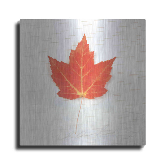 Luxe Metal Art 'Autumn Colors I' by Sue Schlabach, Metal Wall Art