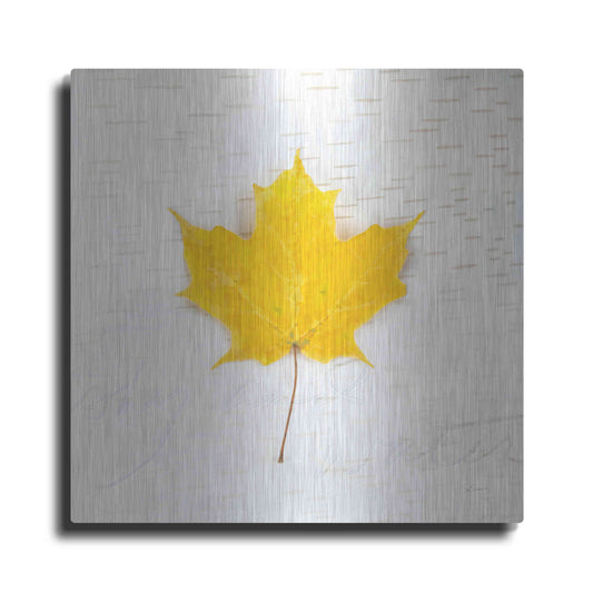 Luxe Metal Art 'Autumn Colors II' by Sue Schlabach, Metal Wall Art