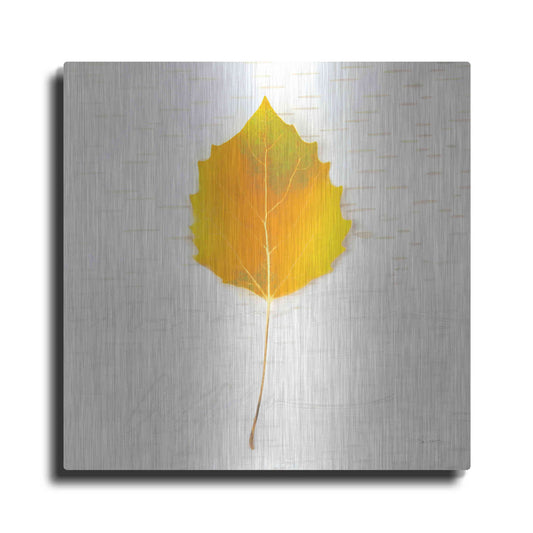 Luxe Metal Art 'Autumn Colors III' by Sue Schlabach, Metal Wall Art