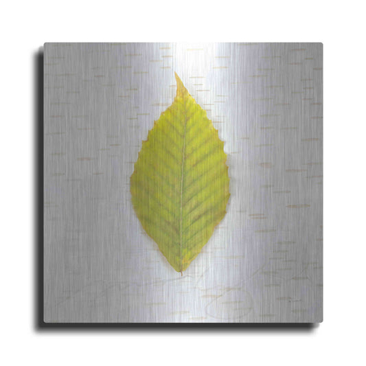 Luxe Metal Art 'Autumn Colors IV' by Sue Schlabach, Metal Wall Art