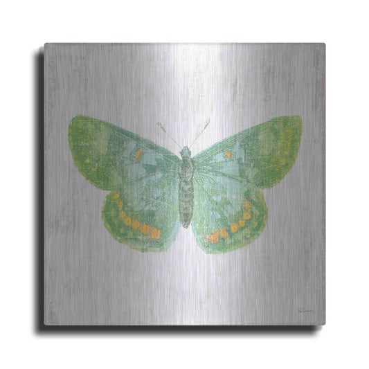 Luxe Metal Art 'White Barn Butterflies II' by Sue Schlabach, Metal Wall Art