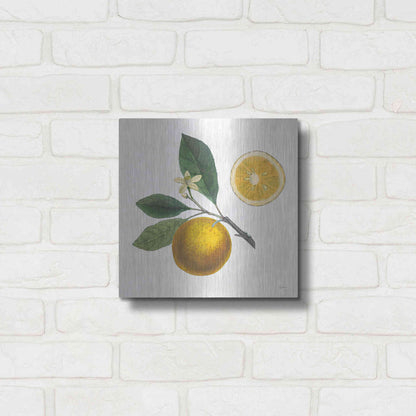 Luxe Metal Art 'Classic Citrus II' by Sue Schlabach, Metal Wall Art,12x12