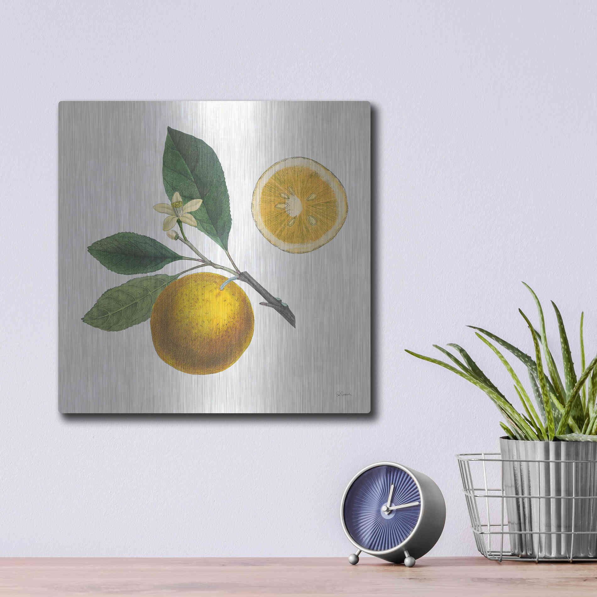 Luxe Metal Art 'Classic Citrus II' by Sue Schlabach, Metal Wall Art,12x12