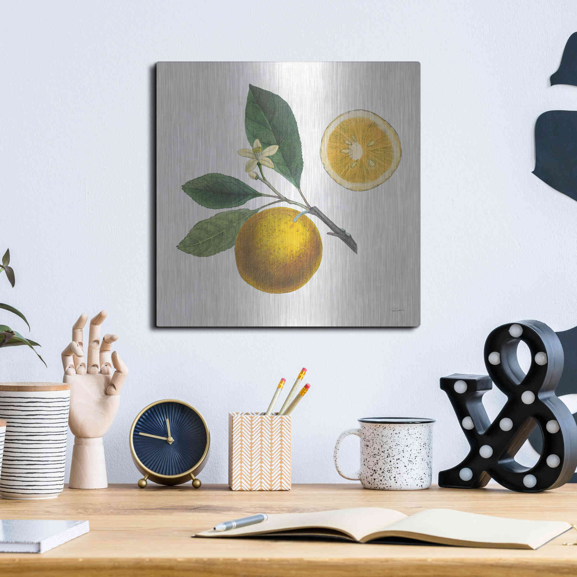 Luxe Metal Art 'Classic Citrus II' by Sue Schlabach, Metal Wall Art,12x12