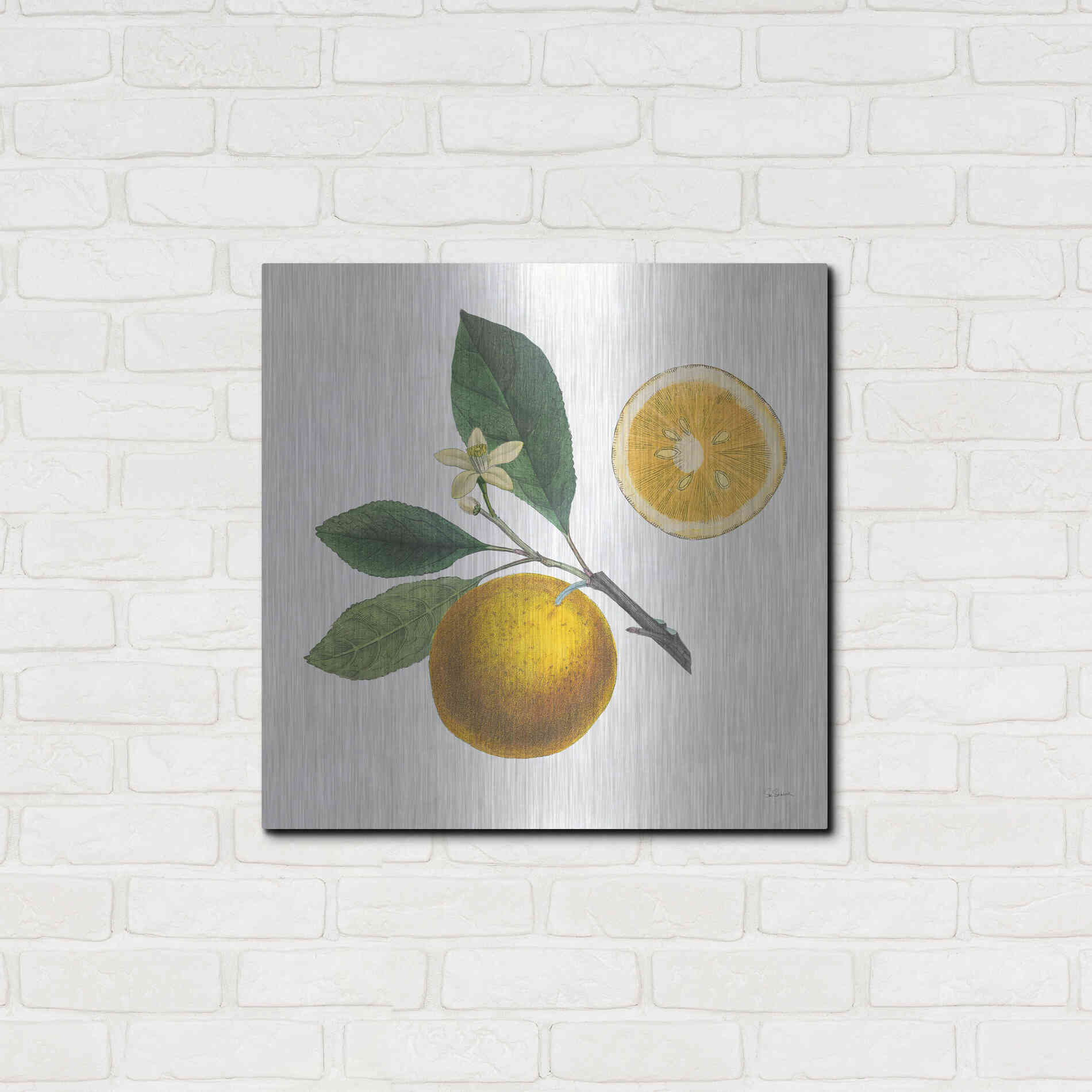 Luxe Metal Art 'Classic Citrus II' by Sue Schlabach, Metal Wall Art,24x24