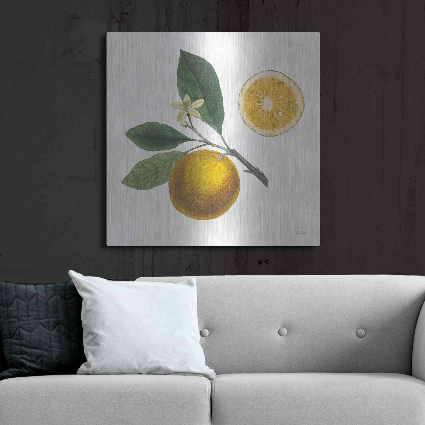 Luxe Metal Art 'Classic Citrus II' by Sue Schlabach, Metal Wall Art,36x36