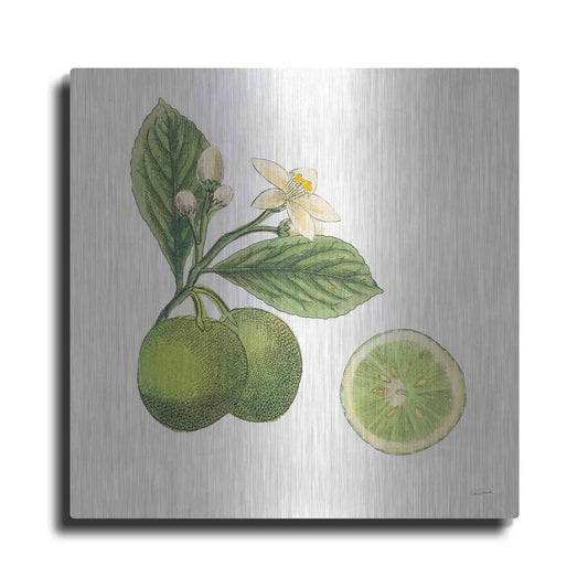 Luxe Metal Art 'Classic Citrus III' by Sue Schlabach, Metal Wall Art