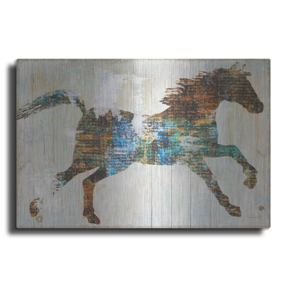 Luxe Metal Art 'Free Spirit I Crop' by Sue Schlabach, Metal Wall Art