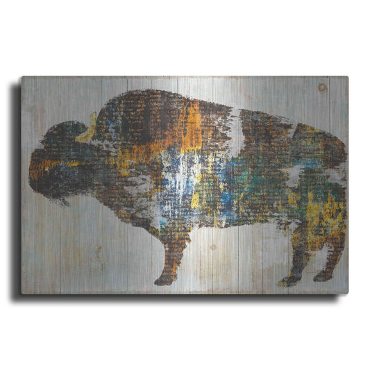 Luxe Metal Art 'Free Spirit II Crop' by Sue Schlabach, Metal Wall Art