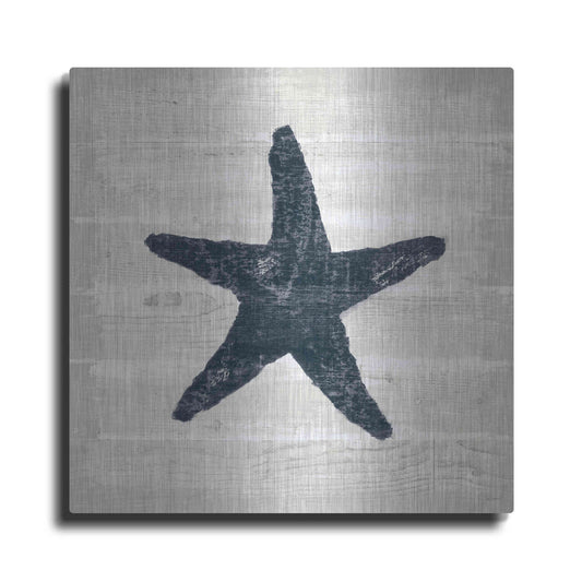 Luxe Metal Art 'Driftwood Coast V Blue' by Sue Schlabach, Metal Wall Art